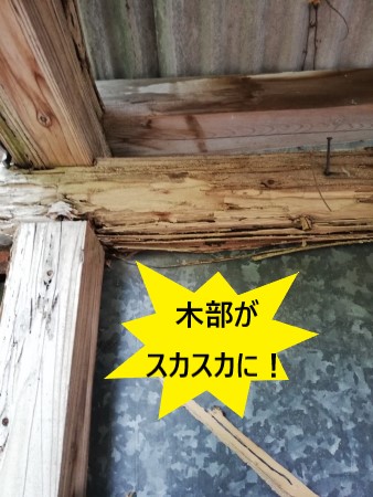 車庫　木材がスカスカ　シロアリ